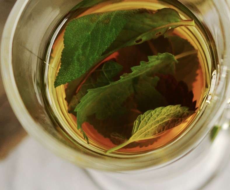 Medicinal Teas That Will Improve Your Body And Mind